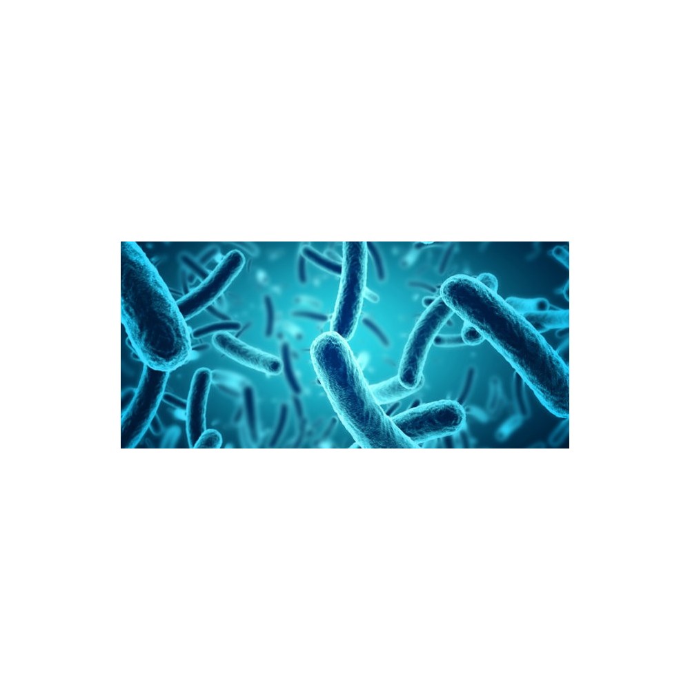 TRAITER LES EAUX USEES